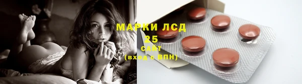 прущие грибы Балахна