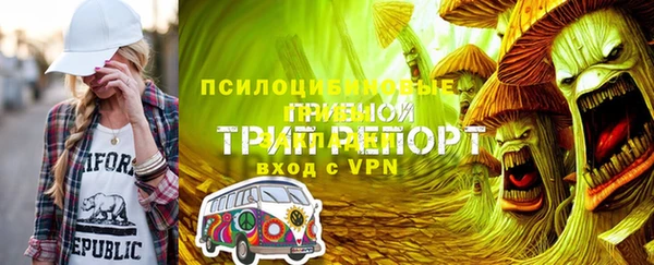 ПСИЛОЦИБИНОВЫЕ ГРИБЫ Новокубанск