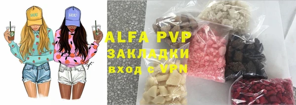 прущие грибы Балахна