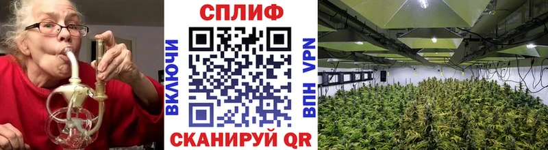 Бошки Шишки THC 21%  shop какой сайт  Кондрово  наркотики 